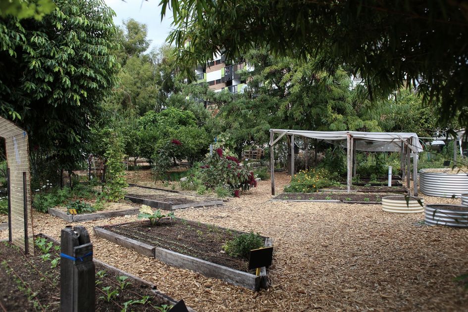 Pedro Carbo: 540 estudiantes cultivan el cuidado ambiental en su espacio TiNi