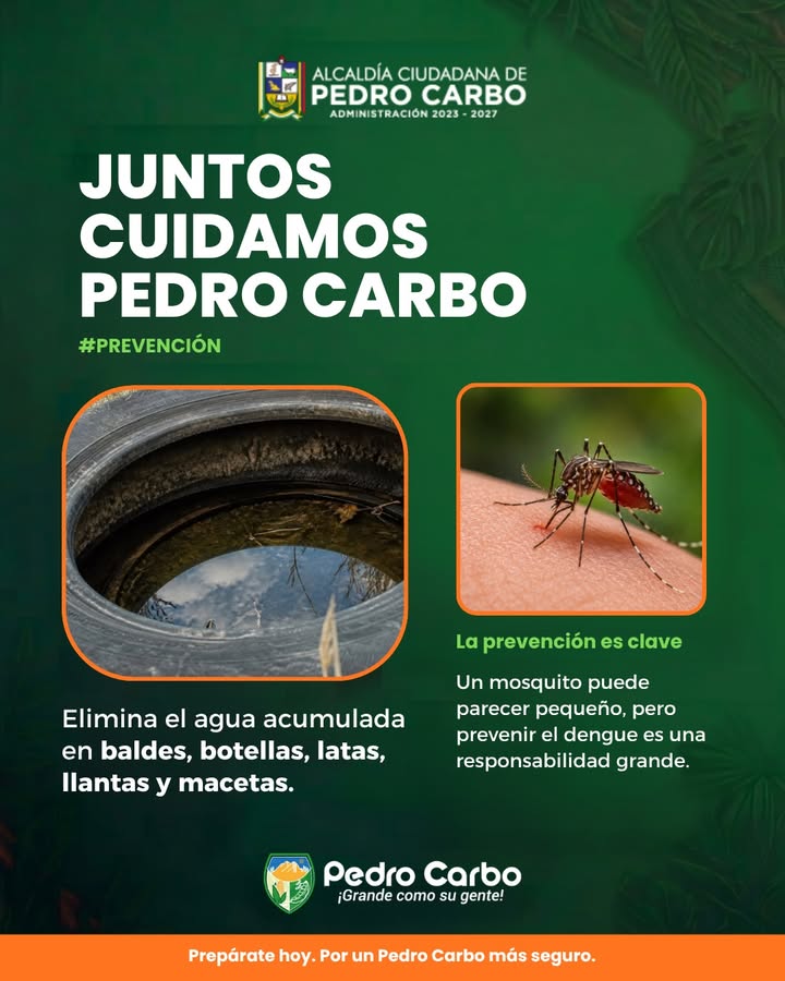 Pedro Carbo: La prevención del dengue es una tarea diaria para cada hogar